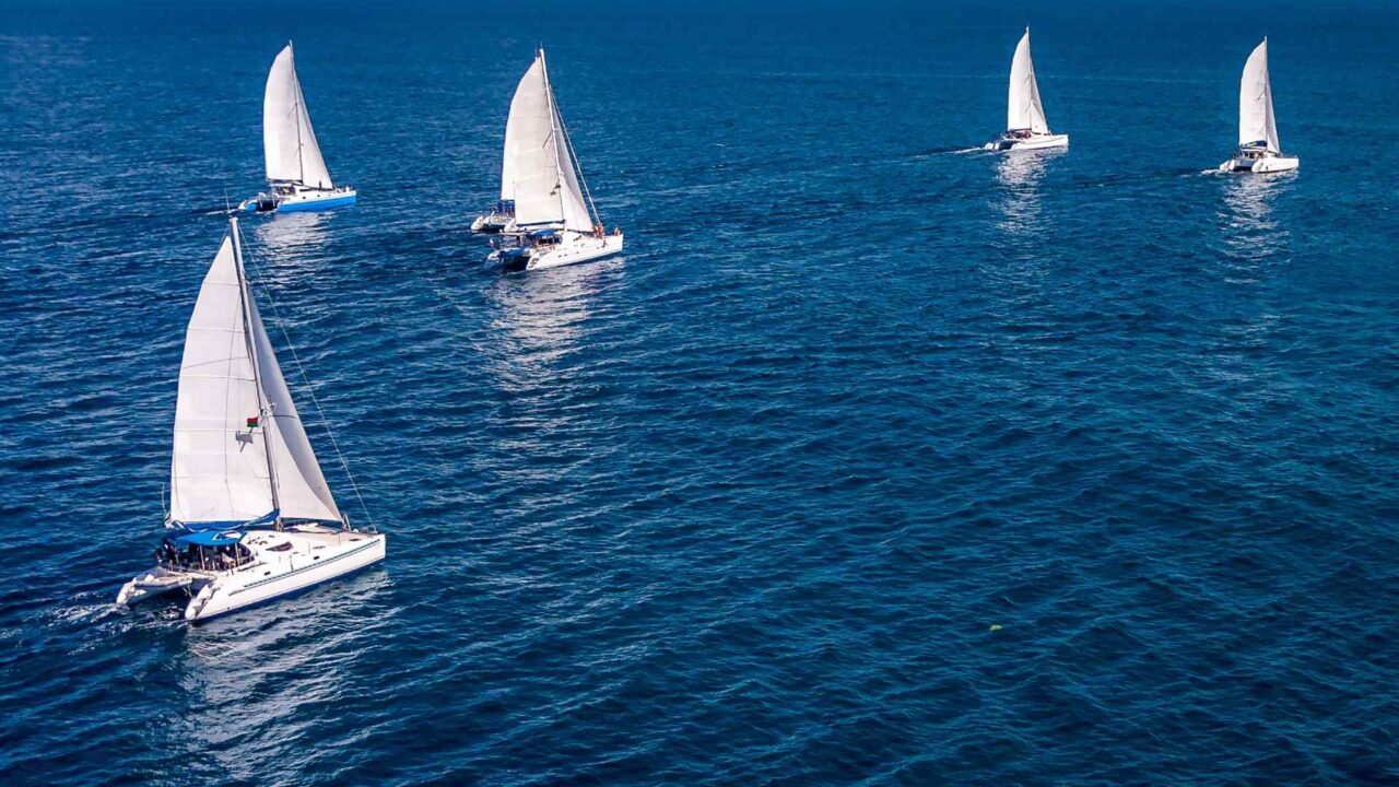 portfolio_02 portfolio_02